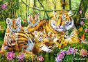 Tygří rodina