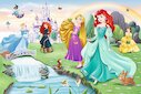 Seznam se s princeznami