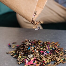 Kočkovité šelmy v džungli