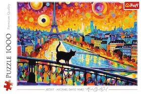 Kočka v Paříži