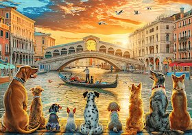 Psi v Benátkách