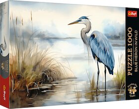 Volavka v přírodě