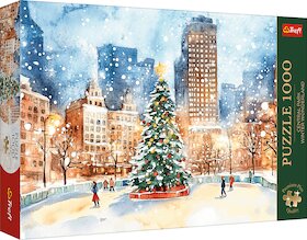 Zima v Central Parku