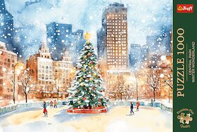 Zima v Central Parku