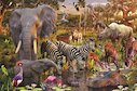 Africká fauna