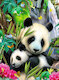 Roztomilá panda