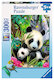 Roztomilá panda