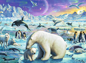 Setkání polárních zvířat
