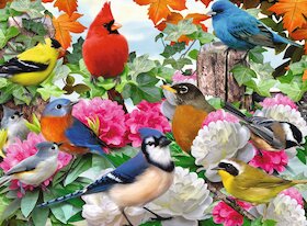 Zahradní ptáci