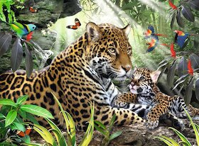 Mládě jaguára