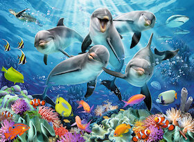 Delfíni u korálového útesu