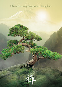Zenový strom