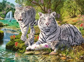 Bílí tygři