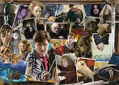 Harry Potter versus Voldemort