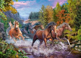 Koně v řece