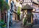 Eguisheim v Alsasku