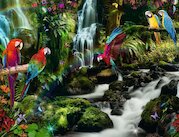 Barevní papoušci v džungli