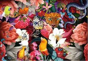 Květiny
