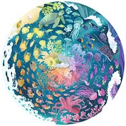 Oceán
