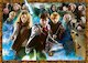 Kouzelník Harry Potter