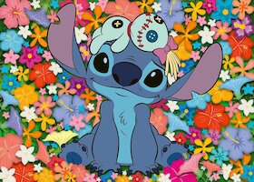 Stitch