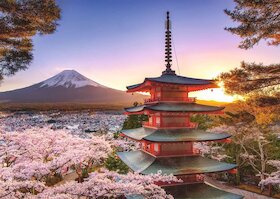 Rozkvetlé třešně v Japonsku