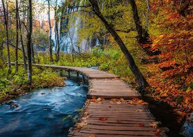 Cesta podzimním lesem, Chorvatsko