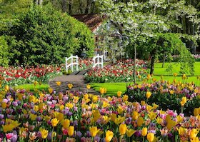 Zahrada Evropy Keukenhof, Nizozemsko