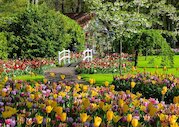 Zahrada Evropy Keukenhof, Nizozemsko