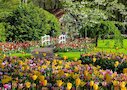 Zahrada Evropy Keukenhof, Nizozemsko