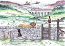 Yorkshire Dales