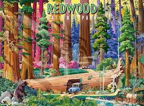 Národní park Redwood, Kalifornie, USA