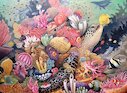 Oceana — podmořský svět