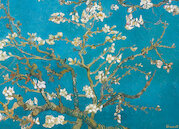 Kvetoucí větve mandlovníku