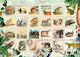 Poštovní známky s motivy zvířat