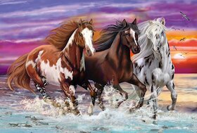 Trojice divokých koní