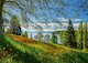 Jarní alej a rozkvetlé tulipány, ostrov Mainau