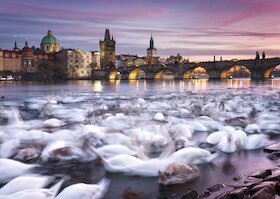 Praha — labutě
