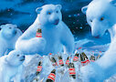 Coca Cola — lední medvědi