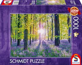 Křehká krása lesních zvonků