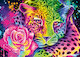 Neonový duhový leopard 