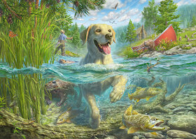 Psí láska — žlutý labrador na lovu ryb