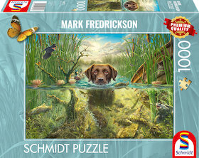 Psí láska — hnědý labrador ve studené vodě