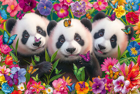 Pandí trio