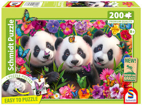 Pandí trio