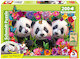 Pandí trio