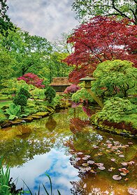 Japonská zahrada, Haag, Nizozemsko