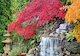 Vodopád v japonské zahradě