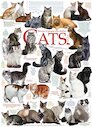 Citáty o kočkách