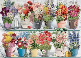 Sbírka květin